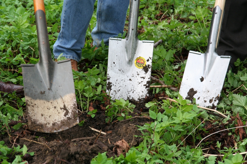 pepiniere-VILLECROZE-min_work-lawn-flower-tool-green-backyard-1103633-pxhere.com